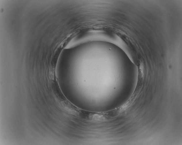 X0000069790180200605221124