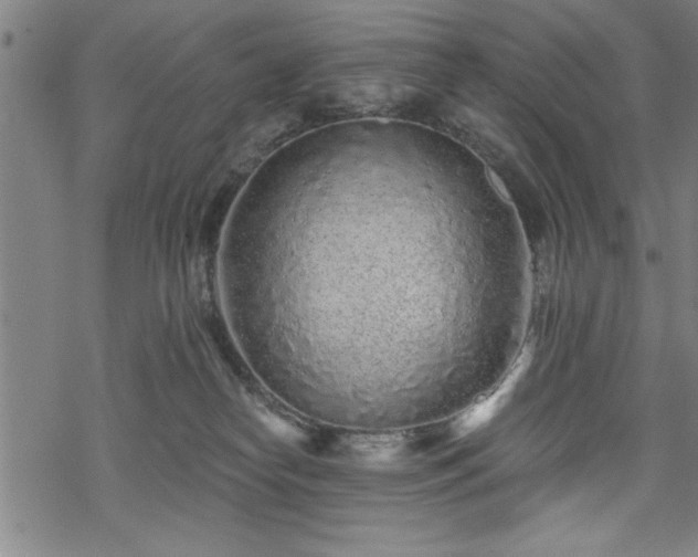 X0000069790182200605221124