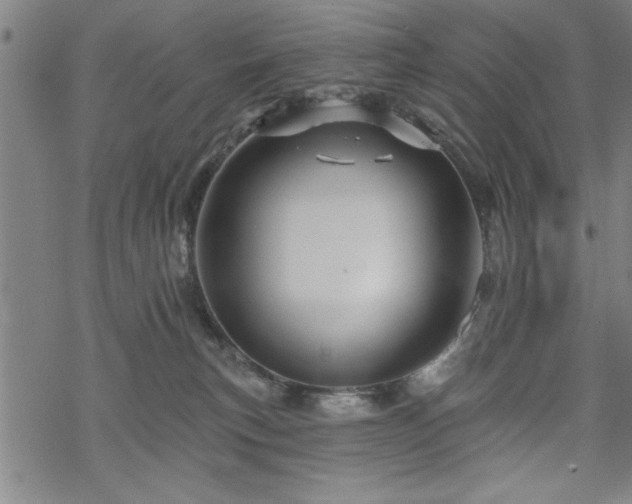 X0000069790183200605221124