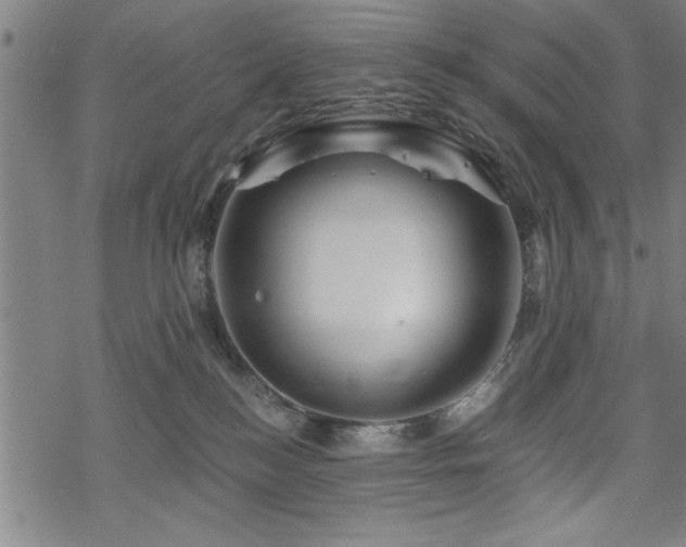 X0000069790184200605221124