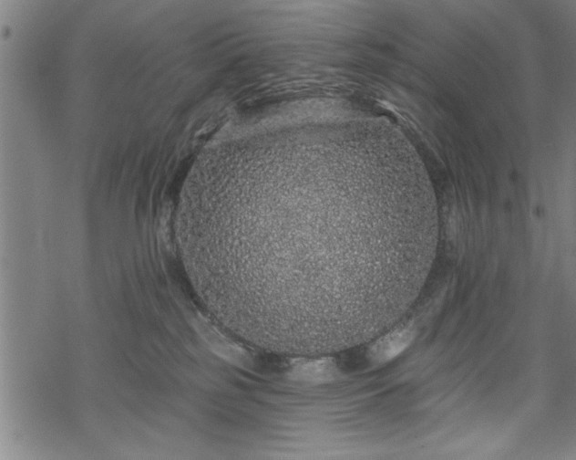 X0000069790185200605221124