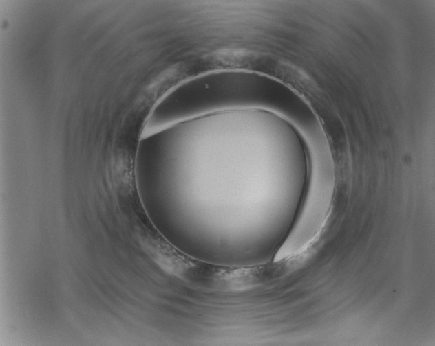 X0000069790186200605221124