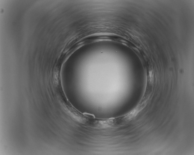 X0000069790188200605221124