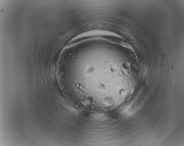 X0000069790189200605221124