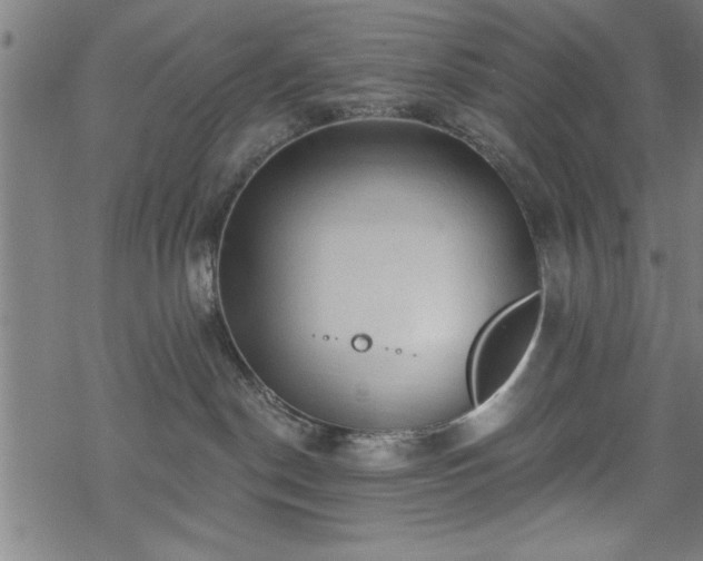 X0000069790190200605221124