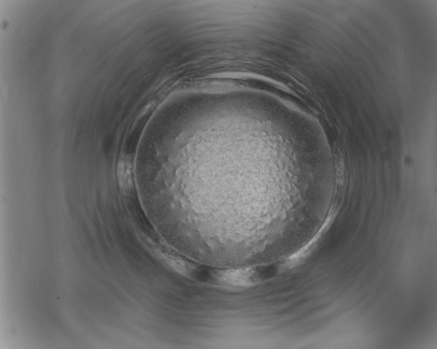 X0000069790191200605221124