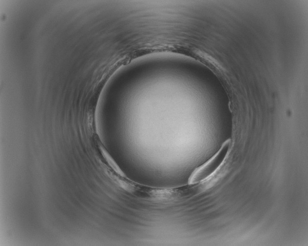 X0000069790192200605221124