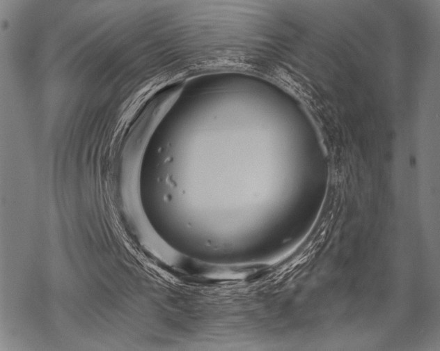 X0000069790193200605221123