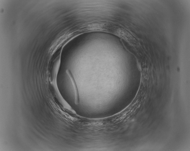 X0000069790194200605221123