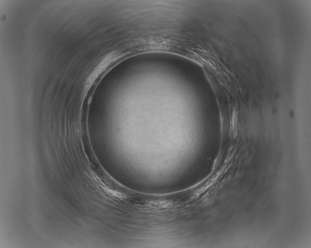 X0000069790195200605221123