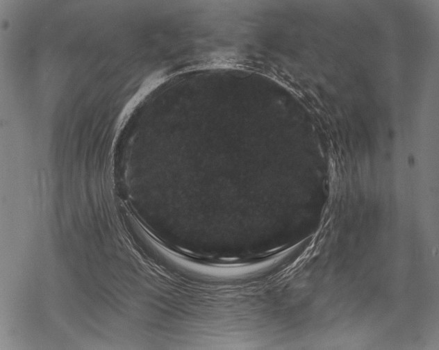 X0000069790200200605221123