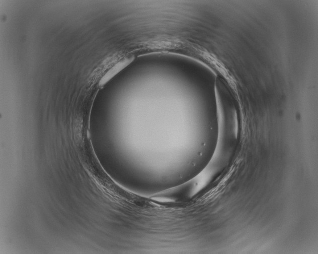 X0000069790201200605221123