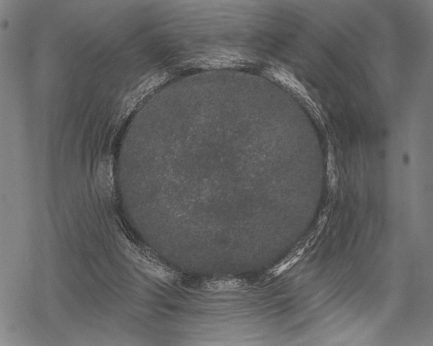 X0000069790202200605221123