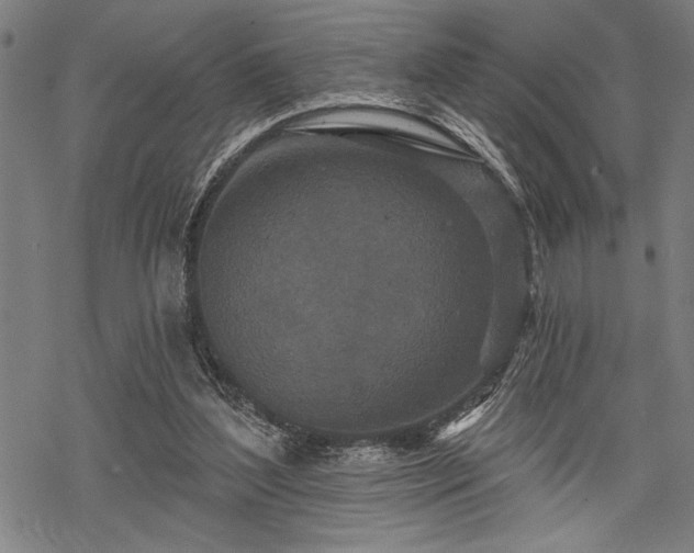 X0000069790204200605221123