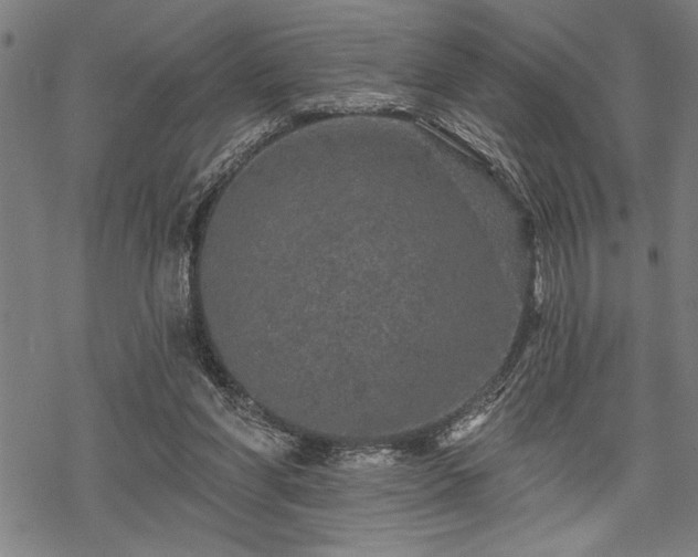 X0000069790206200605221123