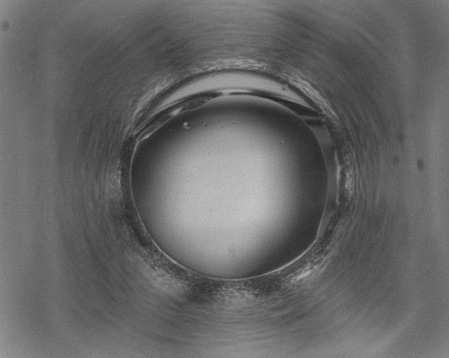 X0000069790207200605221123