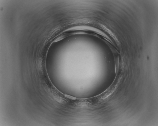 X0000069790209200605221123