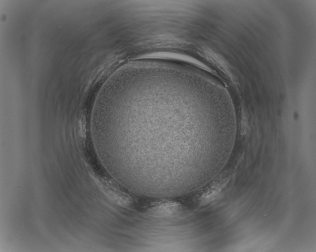 X0000069790210200605221123