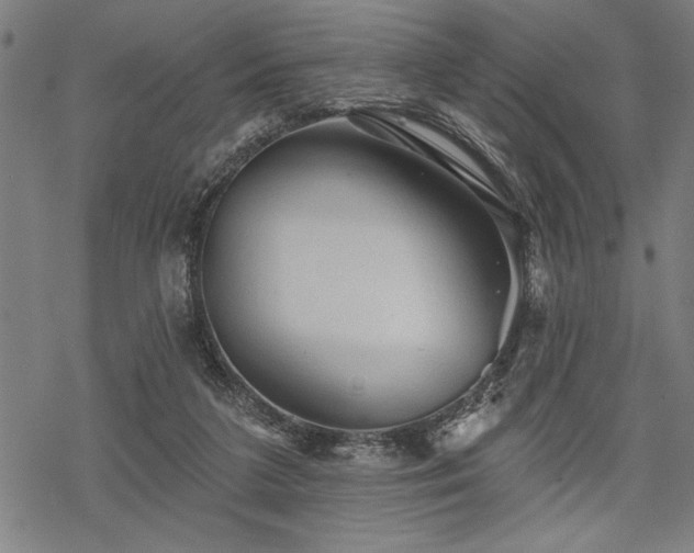 X0000069790211200605221123