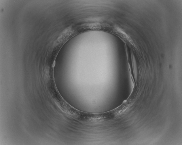 X0000069790213200605221123