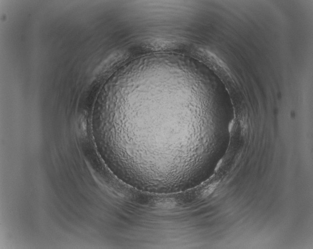 X0000069790214200605221123