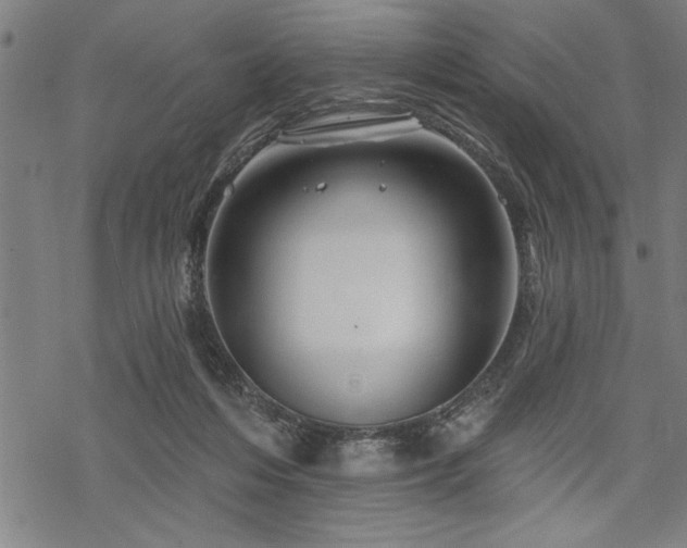 X0000069790216200605221123