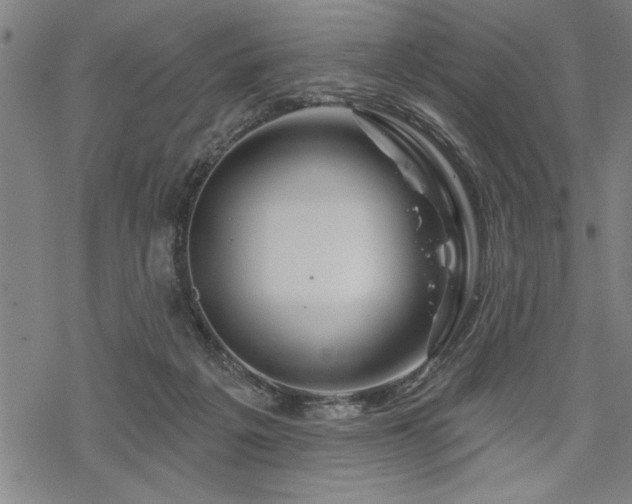 X0000069790217200605221123