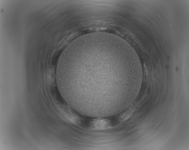 X0000069790218200605221122