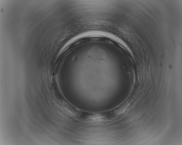 X0000069790219200605221122