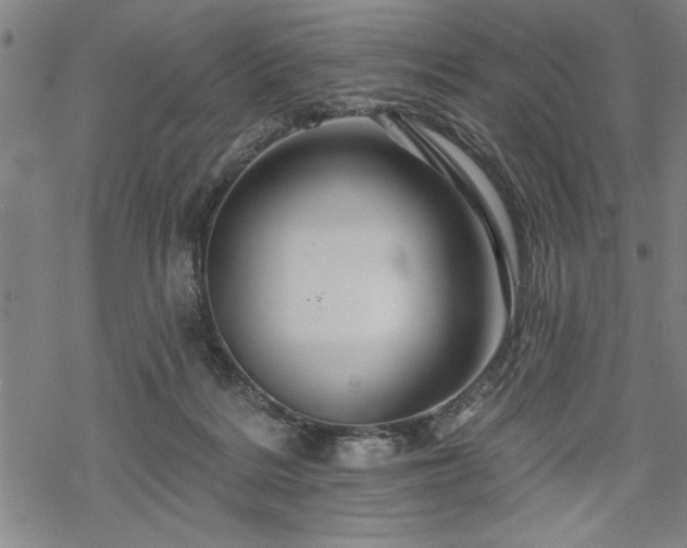 X0000069790220200605221122