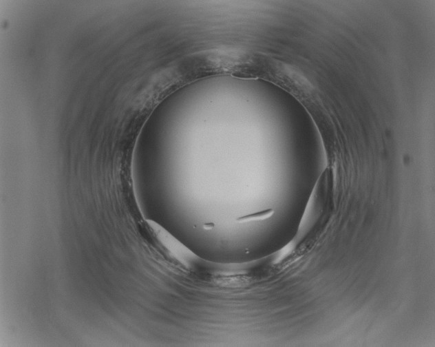 X0000069790221200605221122