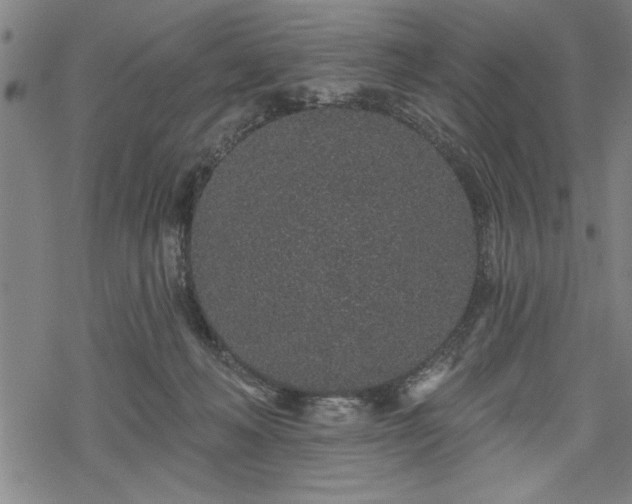 X0000069790222200605221122