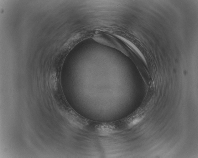 X0000069790223200605221122