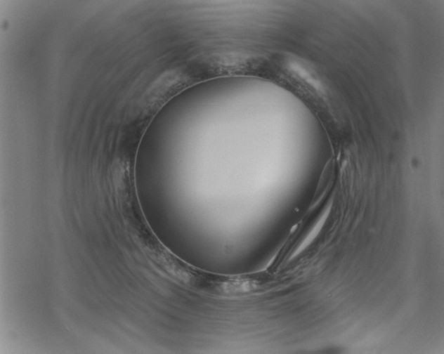 X0000069790225200605221122