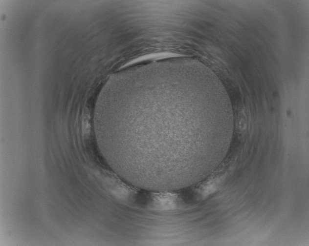 X0000069790226200605221122