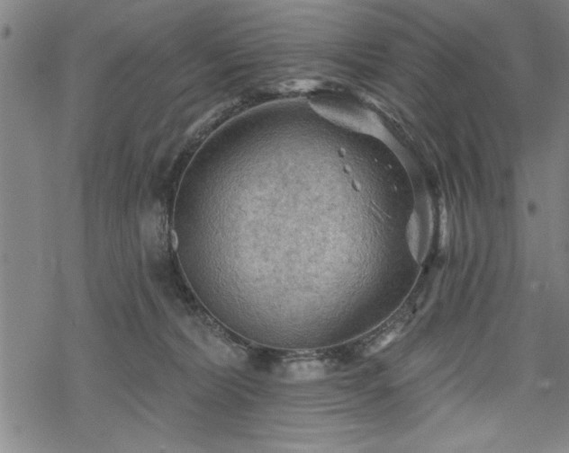 X0000069790228200605221122