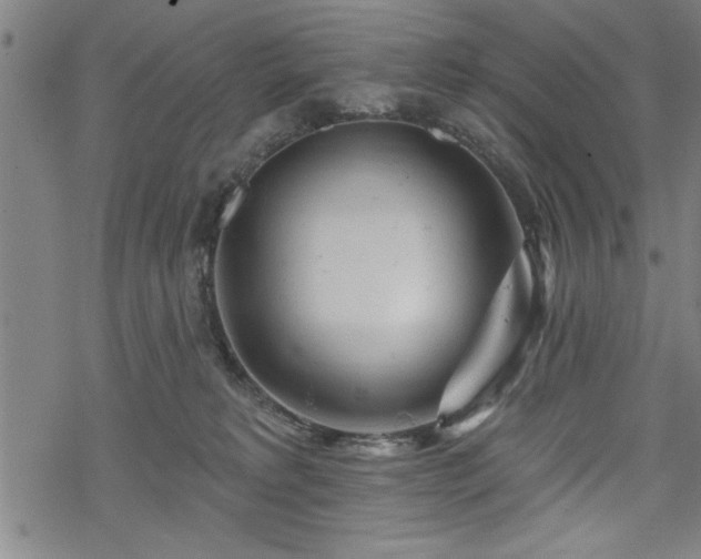 X0000069790229200605221122