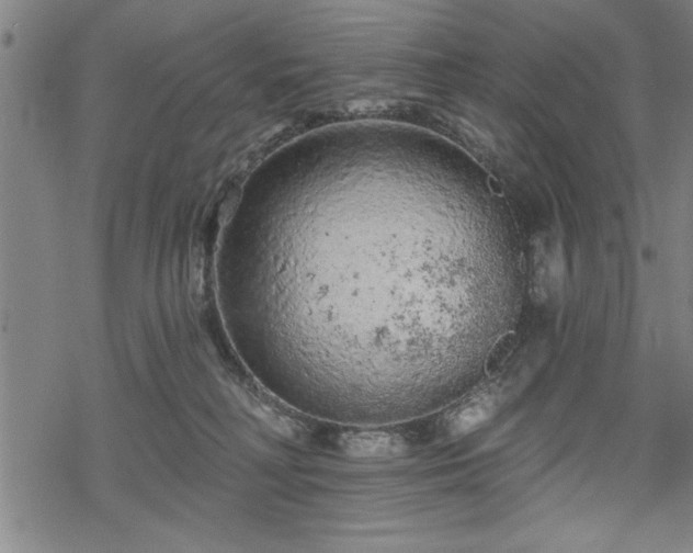 X0000069790230200605221122