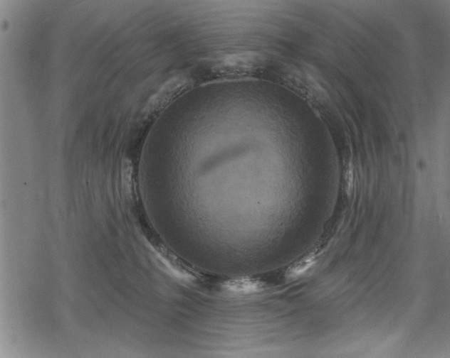 X0000069790231200605221122