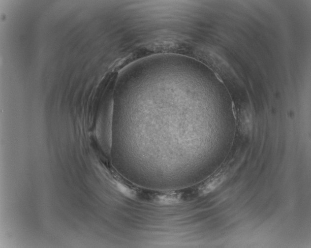 X0000069790232200605221122