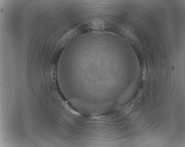 X0000069790233200605221122