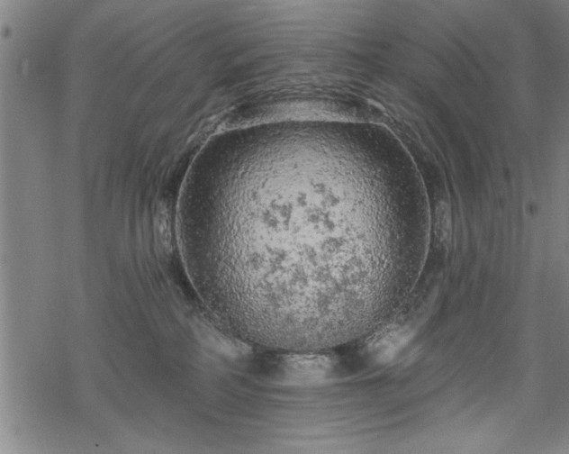 X0000069790234200605221122