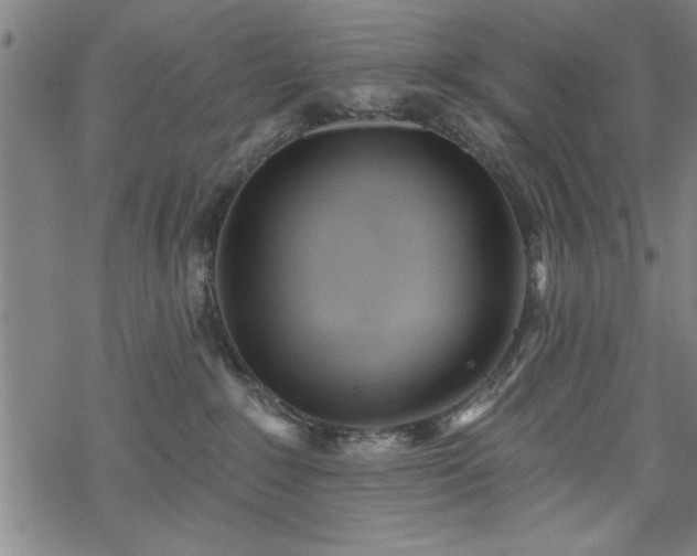 X0000069790235200605221122