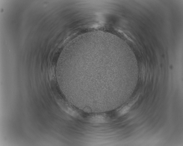 X0000069790236200605221122