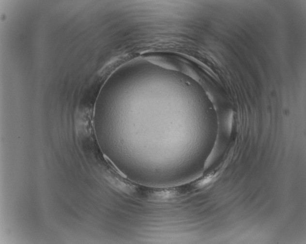 X0000069790237200605221122