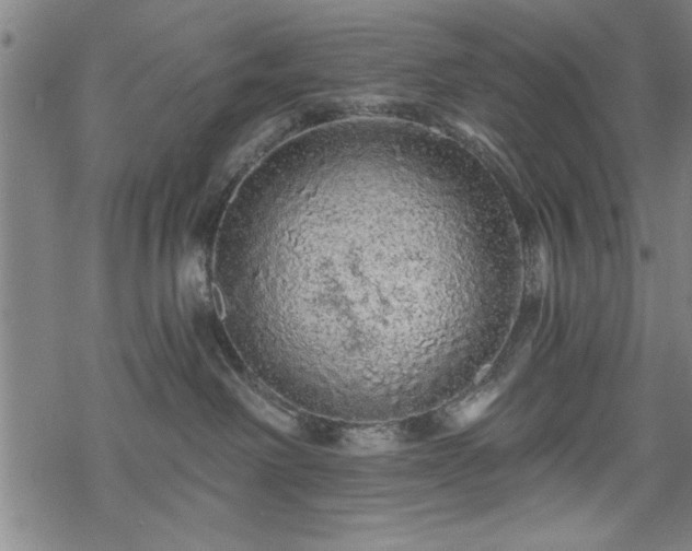 X0000069790238200605221122