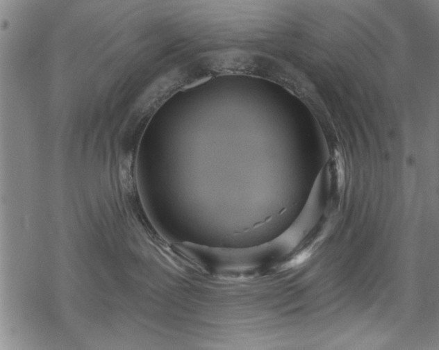 X0000069790239200605221122