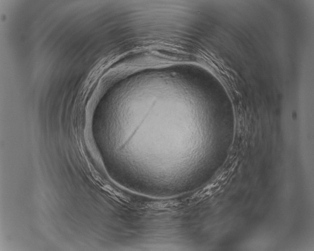 X0000069790241200605221121