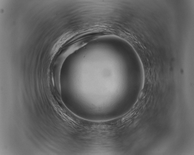 X0000069790242200605221121