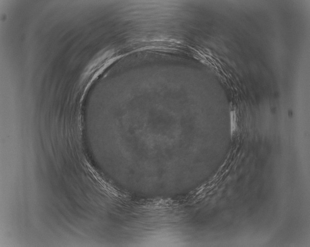 X0000069790243200605221121